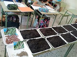 UN EXPERIMENTO CON LA SIEMBRA DE SEMILLAS DE OTOÑO UN EXPERIMENTO CON LA SIEMBRA DE SEMILLAS DE OTOÑO