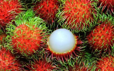 CRÓNICAS DE INDOCHINA: HOI AN Y LA TRAMPA DEL RAMBUTÁN