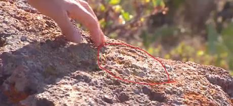 Un petroglifo palmero puede ser el primer mapa rupestre de Canarias Un petroglifo palmero puede ser el primer mapa rupestre de Canarias