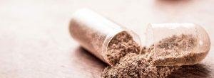 Cómo evitar los errores del suplemento de Hoodia ¿Cuáles son las 6 cosas que todas las opiniones de Hoodia deben tener?