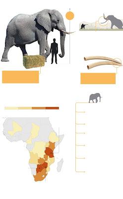 Elefantes africanos (a la caza) y políticos independistas catalanes (en la cárcel)