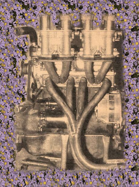 La Preguntita del Domingo 237