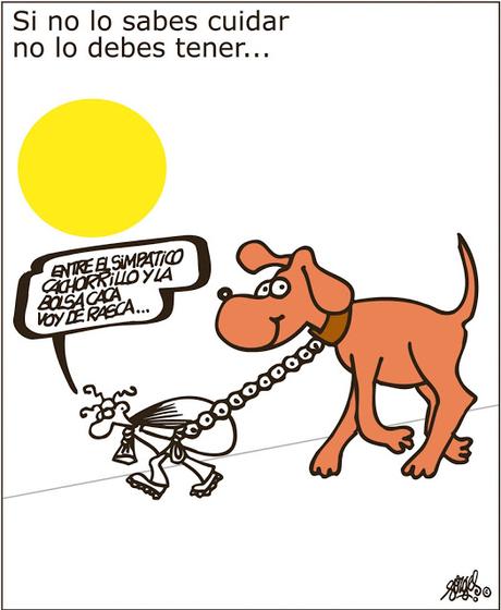 [Humor en cápsulas] Para hoy domingo, 5 de noviembre