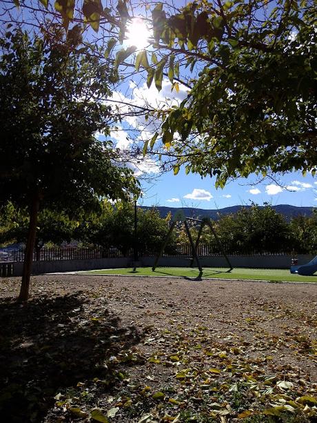 Tarde Otoñal en el Parque