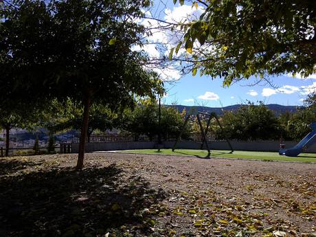 Tarde Otoñal en el Parque