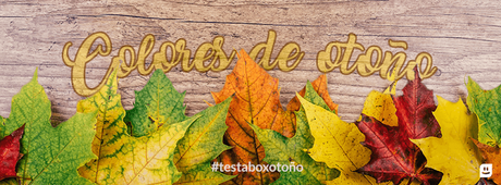 Testabox de Noviembre.