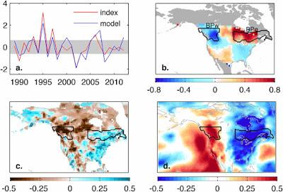 Irrupciones de aves, producción de semillas y cambio climático