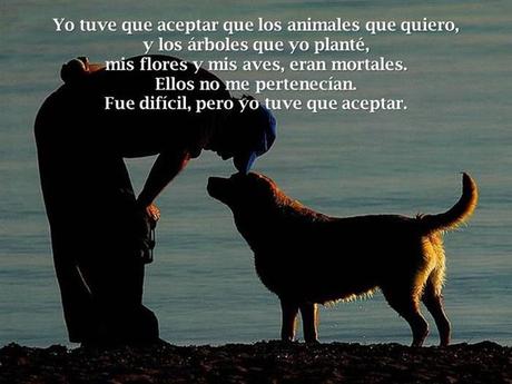 Tuve Que Aceptar Estas Cosas En La Vida... acer