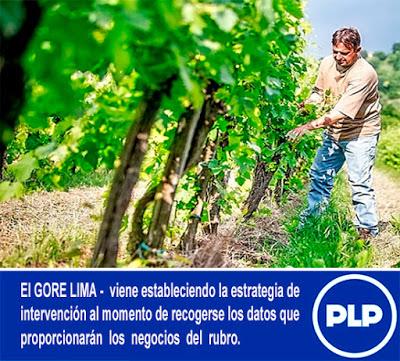 GORE LIMA SE PREPARA PARA EL CENSO REGIONAL VITÍCOLA Y DE PRODUCCIÓN DE PISCO…
