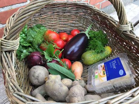 Cómo hacer un invernadero domo con poco dinero Cómo hacer un invernadero domo con poco dinero