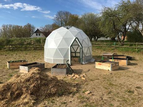 Cómo hacer un invernadero domo con poco dinero Cómo hacer un invernadero domo con poco dinero