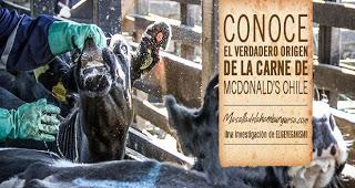 McVegan, la hamburguesa vegana del McDonalds