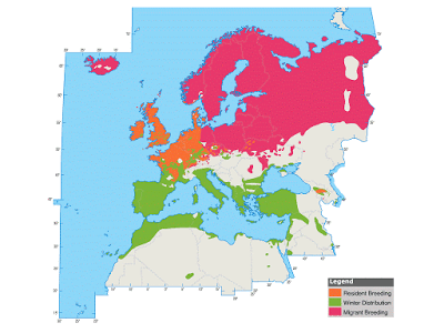 Las dos más frecuentes