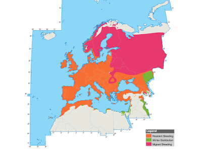 Las dos más frecuentes