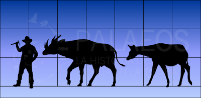 Paleoficha: Giraffokeryx punjabiensis