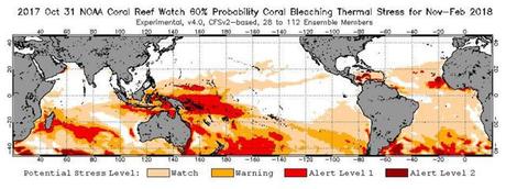NOAA advierte de un mayor blanqueamiento de la Gran Barrera de Coral NOAA advierte de un mayor blanqueamiento de la Gran Barrera de Coral