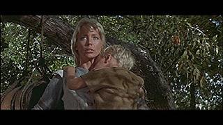 HÉROE DE LA ISLA, EL (Hero's Island) (Gran Bretaña (ahora Reino Unido (U.K.), 1962) Aventuras