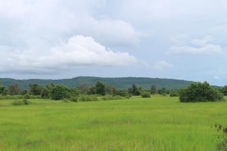 Cooperativas para el desarrollo de Camboya