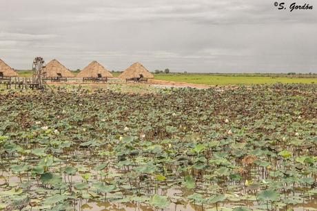 CHONG KNEAS: LAS ALDEAS FLOTANTES