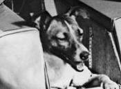 Laika