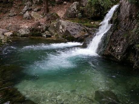 Italia país de una naturaleza extraordinariamente variada y un rico medio ambiente.