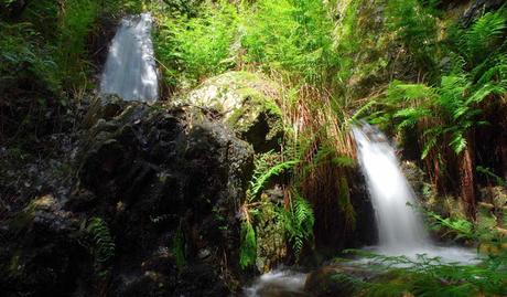 Italia país de una naturaleza extraordinariamente variada y un rico medio ambiente.