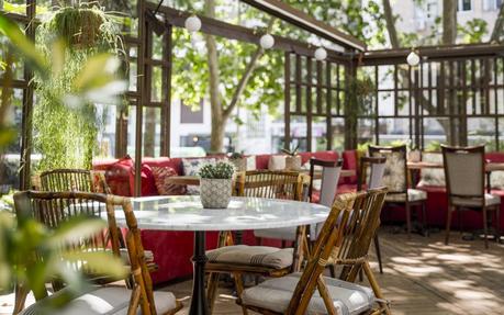 Restaurante Graciela: un delicado jardín escondido en Plaza de Castilla