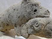 Cartima romana