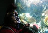 El mejor momento para viajar