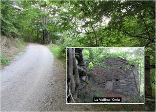 Ruayer-Braña Foz-Valmartín-La L.lomba Barreros-La Maea les Mules