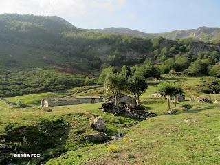 Ruayer-Braña Foz-Valmartín-La L.lomba Barreros-La Maea les Mules