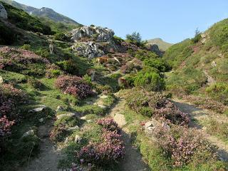 Ruayer-Braña Foz-Valmartín-La L.lomba Barreros-La Maea les Mules