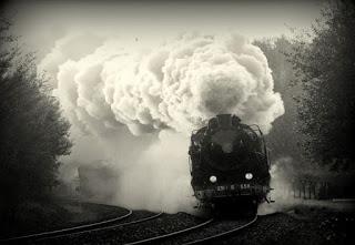 El tren, atravesando la Selva Negra, por ejemplo.