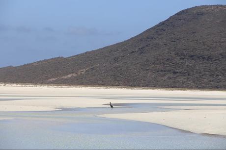 Una Mirada al Lente de Susana Orozco Una Mirada al Lente de Susana Orozco