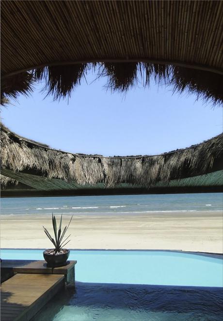 Una Mirada al Lente de Susana Orozco Una Mirada al Lente de Susana Orozco