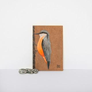 Il·lustració ocell Pica-soques // Ilustración pájaro Carpintero