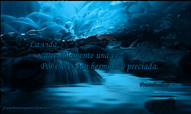 La vida ocurre solamente una vez por eso es tan hermosa y apreciada. La vida ocurre solamente una vez por eso es tan hermosa y apreciada.
