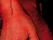 Yolanda Camacho: Agramonte