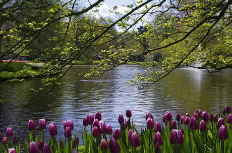 II CONCURSO TU MEJOR RECETA DEL RETO COCINA REGIONAL ITALIANA