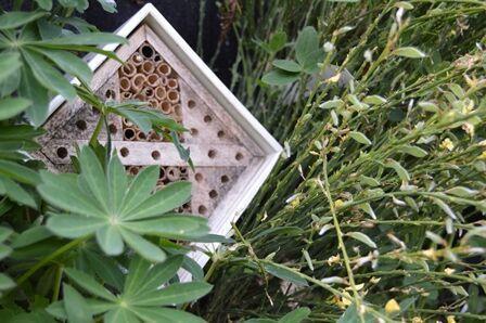 #beesmakeitgreen #makeitgreen #beesmakeitgreen #makeitgreen