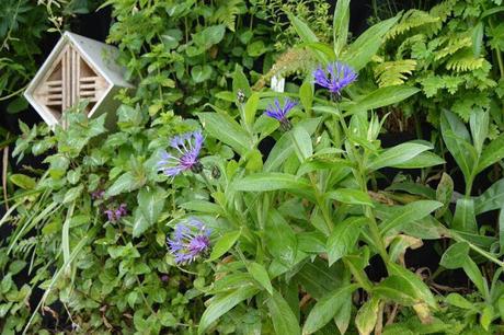 #beesmakeitgreen #makeitgreen #beesmakeitgreen #makeitgreen