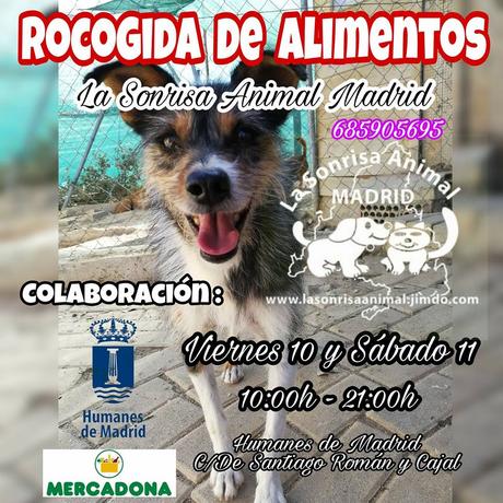 recogida alimentos la sonrisa animal