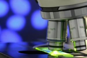 Ultramicroscopía: salvando el abismo Ultramicroscopía: salvando el abismo