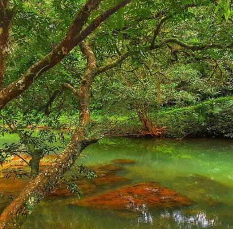 Las Minas, Herrera, Panamá