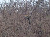 Lejanas, borrosas...e interesantes.