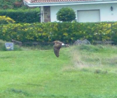 Lejanas, borrosas...e interesantes.