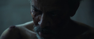 Llega de noche (It comes at night, Trey Edward Shults, 2017. EEUU)