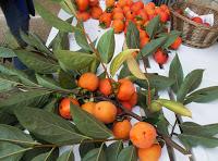 Mermelada de caquis y  naranja con jengibre y ron