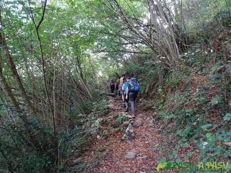 Peña Sienra desde Covadonga: Sendero entre Covadonga y la Vega de Orandi