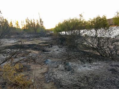 Incendio en el Peri-lago de Piedra del Aguila